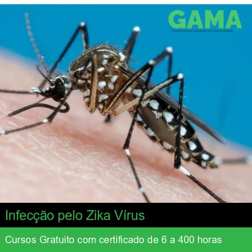 Infecção pelo Zika Vírus